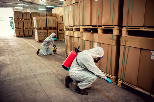 Best Cockroach Control Services  in Suffern, NY