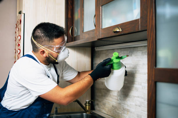 Pest Prevention Services in Suffern, NY