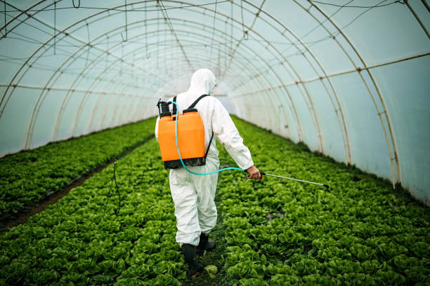 Best Pest Control Near Me  in Suffern, NY