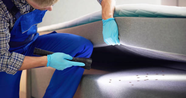 Best Best Pest Control Near Me  in Suffern, NY