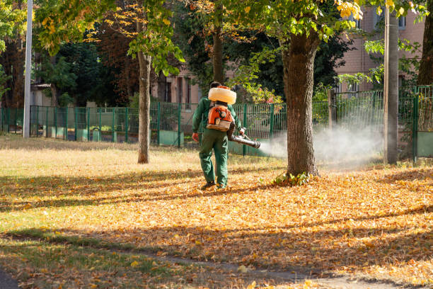 Best Best Pest Control Companies  in Suffern, NY