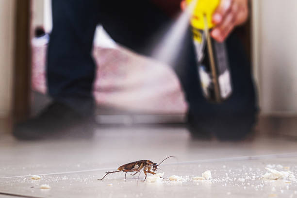 Best Spider Control Near Me  in Suffern, NY