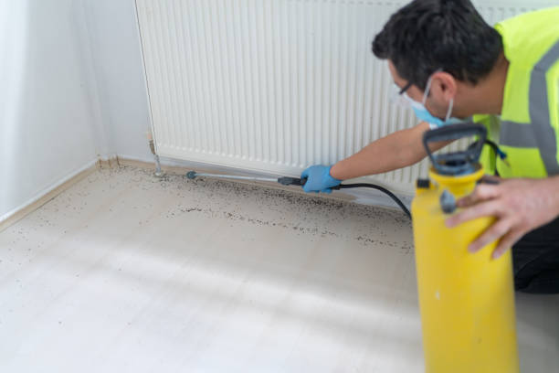 Best Emergency Pest Control  in Suffern, NY
